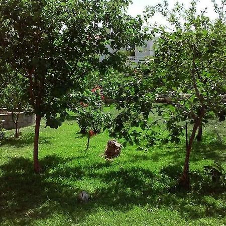 Sunny Garden Studio Athen Eksteriør billede